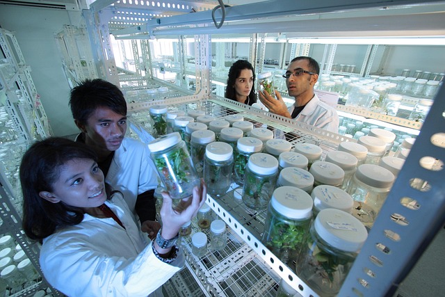 聚氨酯陽聚劑對(duì)水性聚氨酯涂料流平性、流掛性和施工性的影響研究